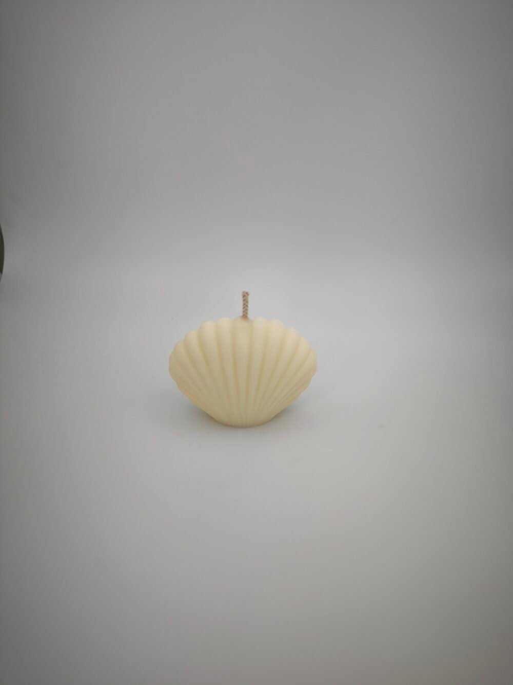Shell Candles - Image 3