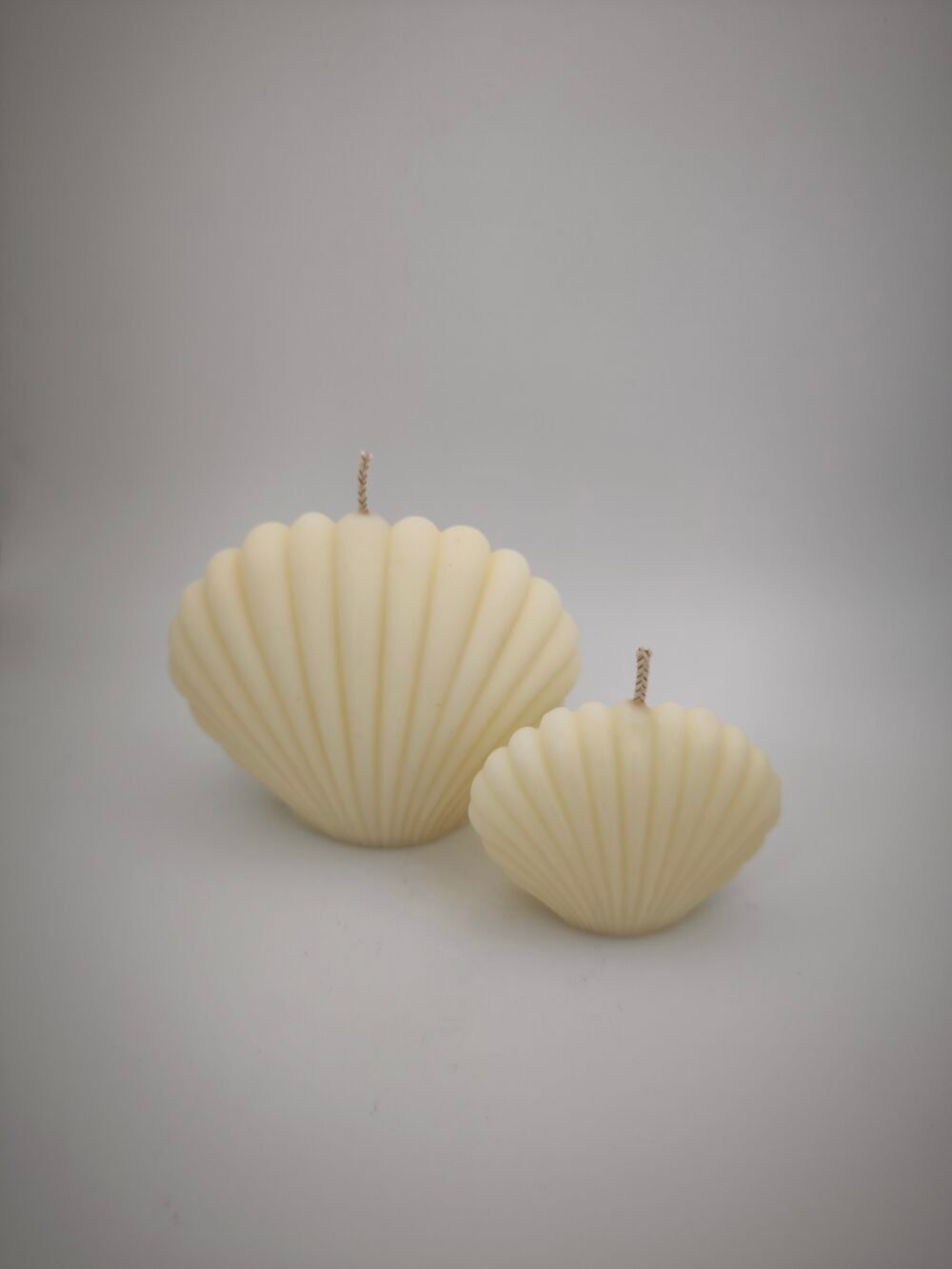 Shell Candles