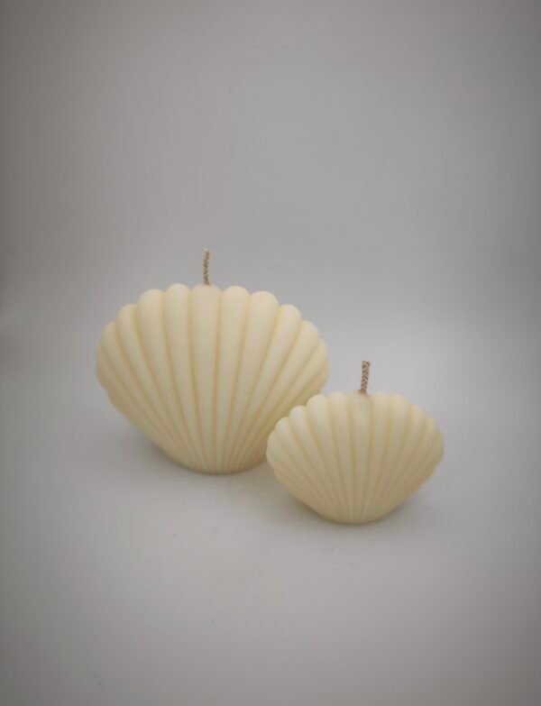 Shell Candles