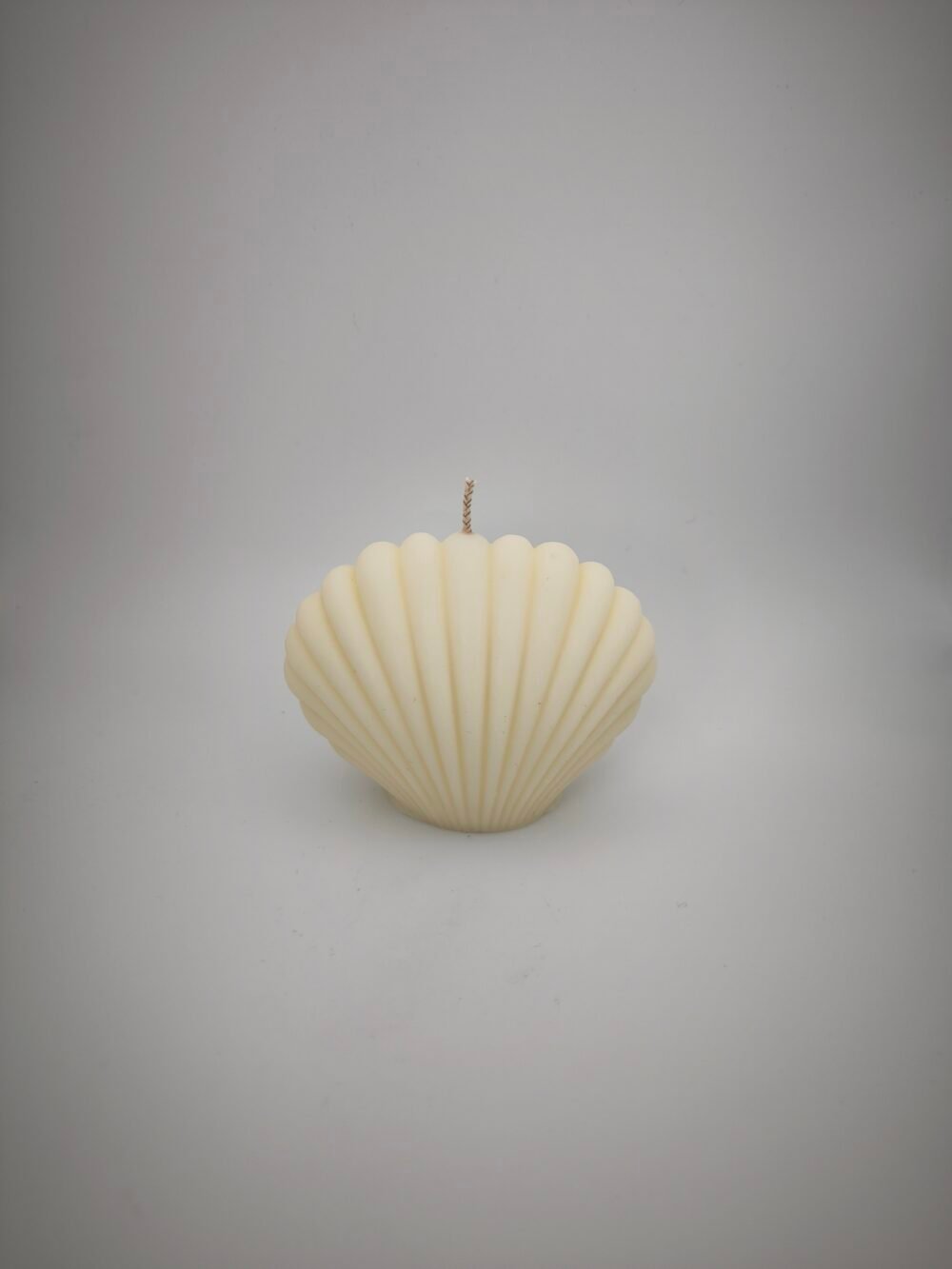 Shell Candles - Image 4
